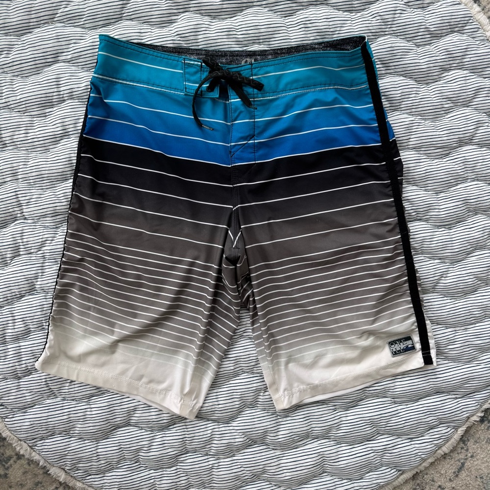 O’Neill Men’s Gradient Blue and Gray Swim Shorts, Size 31
